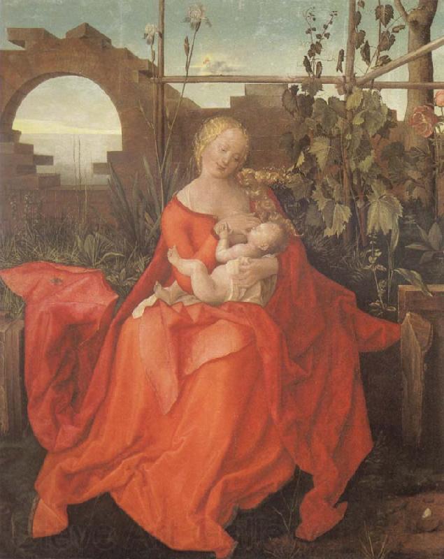 Albrecht Durer The Madonna with the Iris imitator of Albrecht Durer Spain oil painting art